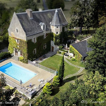 Manoir De L'Abbaye Bed and Breakfast Seuilly Εξωτερικό φωτογραφία