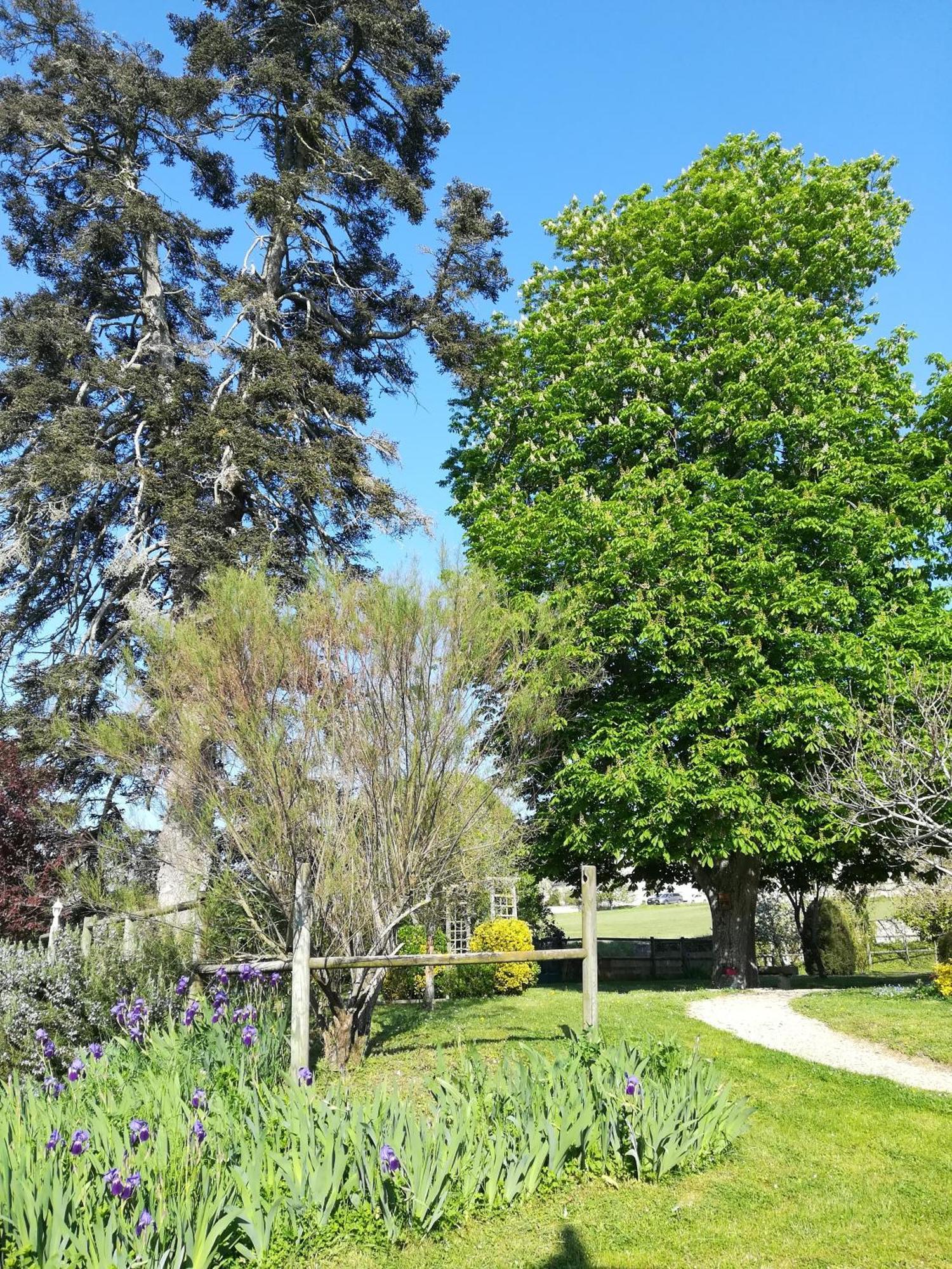 Manoir De L'Abbaye Bed and Breakfast Seuilly Εξωτερικό φωτογραφία